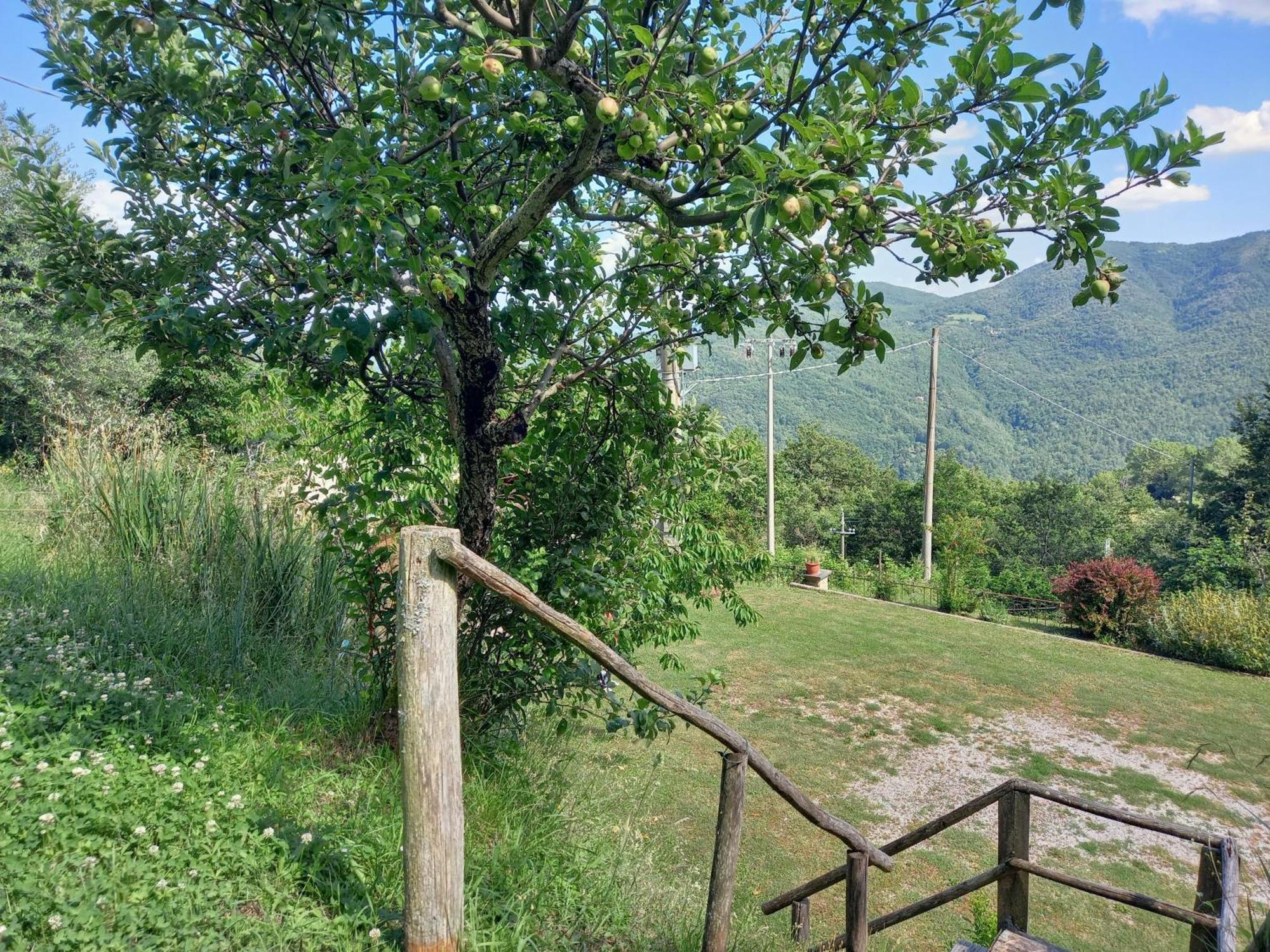 Valle Dame كورتونا المظهر الخارجي الصورة